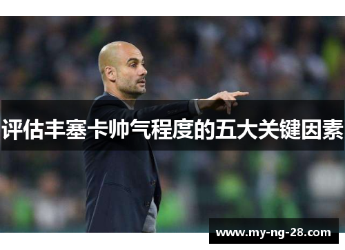 评估丰塞卡帅气程度的五大关键因素