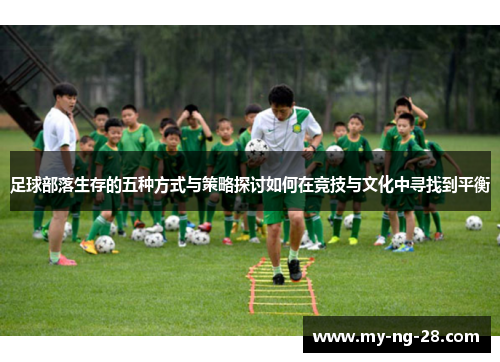 足球部落生存的五种方式与策略探讨如何在竞技与文化中寻找到平衡
