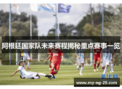 阿根廷国家队未来赛程揭秘重点赛事一览
